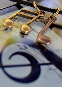 Orgelretter: Aktionen