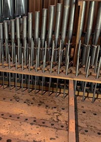 Orgelretter: Fotogalerie