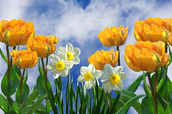 Ostergottesdienste 2025